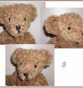 Teddy Bear