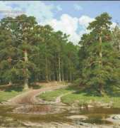 GK - 1536 Pine Forest