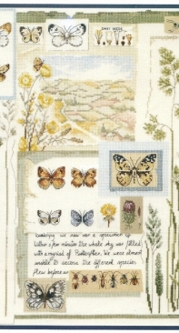 DMC BK278 - Butterfly Sampler PCS