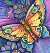 HAED HAECCKQS118 QS Butterfly 2 by Ching-Chou Kuik