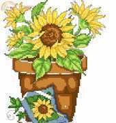 Sunflower in Pot PCS