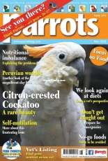 Parrots - May 2018