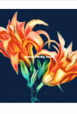 Better Cross Stitch - Lilies - Free