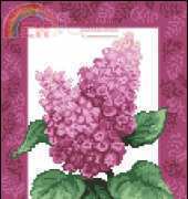 Megat 4589 - Lilac