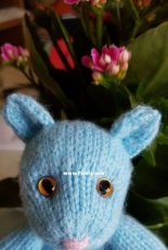 blue cat