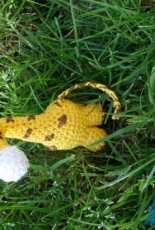 Mini giraffe