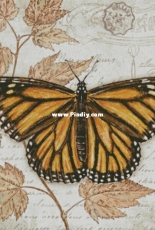 Chimera - Butterfly Vintage 12 by Jane Shasky