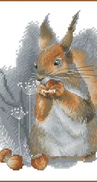 Squirrel with nuts by Svetlana Sichkar XSD