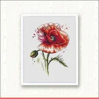Watercolor Poppy by Lyubov Vodenikova