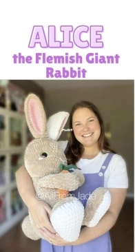 All from Jade - Jade Gauthier-Boutin - Alice the Flemish Giant Rabbit