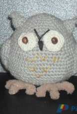 owl