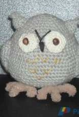 owl