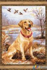 Riolis 1399 Labrador