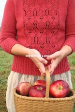 Pomegranate - Bonnie Sennott - Blue Peninsula