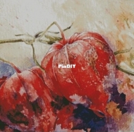 Chimera - Physalis - H559