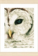 Lanarte PN0163781 Owl XSD + PCS