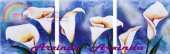 Arxinda Blue Callas