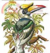 Eva Rosenstand 12-384 Great indian hornbull