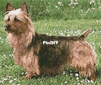 Artecy Cross Stitch - Australian Terrier