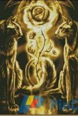 Moon cats by Yushchuk/Mully XSD