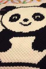 C2C Panda