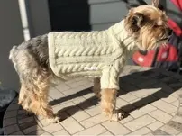 #9 Cable Dog Sweater by Yuko Nagakura-Free