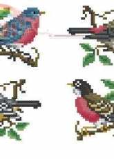 Birds mini