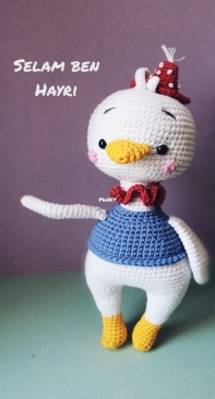 Hayri the duck