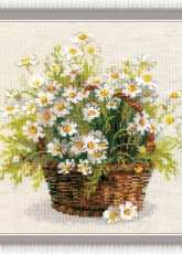 Riolis 1478 Russian Daisies