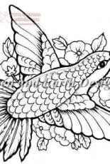 HAE QS Hummingbird
