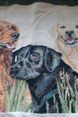 labradors
