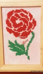 Fiori