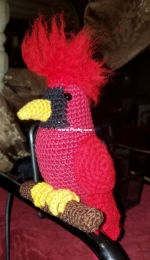 Red Cardinal