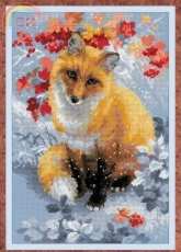 Riolis 1510 Fox
