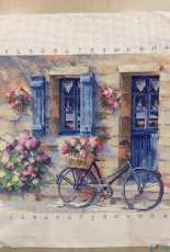 My bicycle