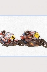 Thea Gouverneur 1002 - Sport Motorcycle