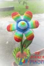 Fiori colorati