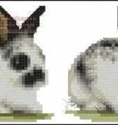 Fido stitch English Spotted Rabbit