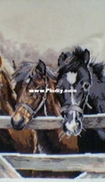 Three horses.
