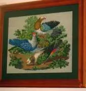 "Wild pigeons"
