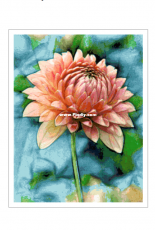 Better Cross Stitch - Beautiful Flower - Free