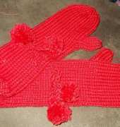 Chunky Long Mittens by Vanessa Ewing-Free