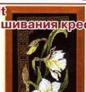Riolis 842 narcissus
