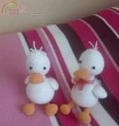 Ducks