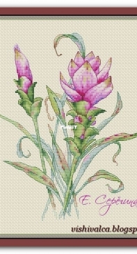 Turmeric by Ekaterina Seryogina