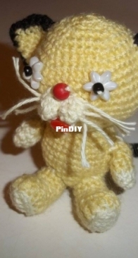 kitten