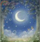 HAED HAENF 69 Fairy in Moonlight