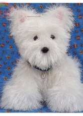 Knit Westie Puppy by Lorraine Pistorio