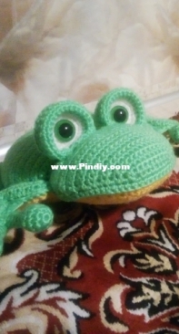 my frog