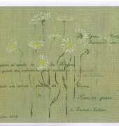 MTSA Marie Therese Saint Aubin - Marguerites de Saint Suliac